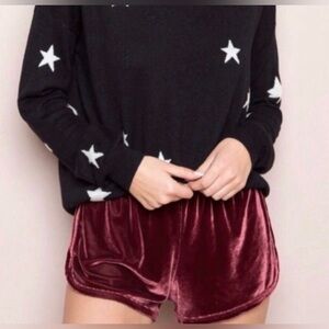 John Galt Brandy Melville Women’s Lounge Velour Velvet Track Shorts One Size